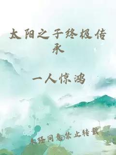太阳之子终极传承
