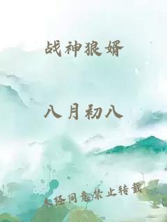 战神狼婿